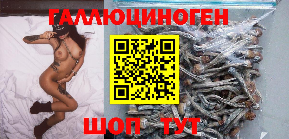 Псилоцибиновые грибы Cubensis  Вход с VPN  где купить наркотик  Красноармейск 